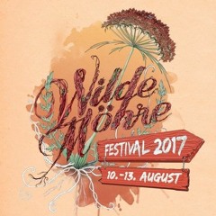 Flo Pirke@ Wilde Möhre festival 2017
