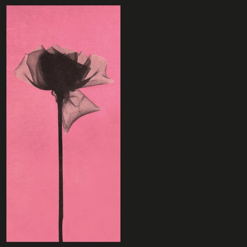 Llewellyn - Again & Again (Snippet)