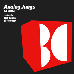 Analog Jungs - Storm (Hot Tuneik Remix)