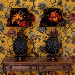 Yellow Wallpaper (Live Sketch)