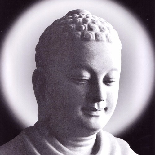 Kinh Pháp Cú 50 -  Thích Bửu Chánh
