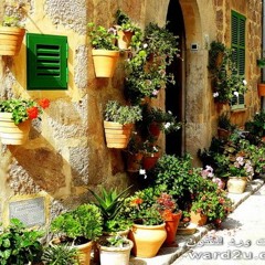 زمان الناس ..  طه سليمان