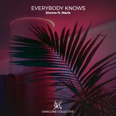 Slwmo - Everybody Knows (ft. Marie)