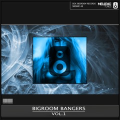 Bigroom Bangers Vol.1 (EP) (20 amazing Festival Tracks) (OUT NOW)