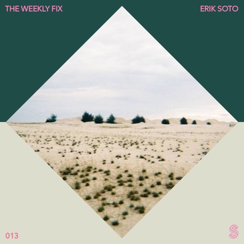 The Weekly Fix 013 : Erik Soto