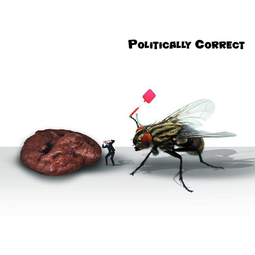 Politically Correct