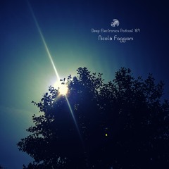 Deep Electronics Podcast # 169 - Nicolò Faggiani (Landscape of echoes mix)