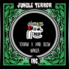 Tekraw x Mad Blow - Wakiza (Original Mix)[JTI Premiere]