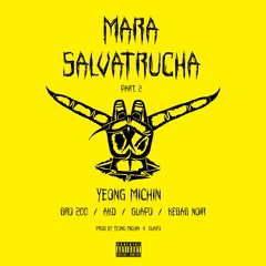 ft. Bro200 x AKD x Guapo x Kebabnoir - Mara Salvatrucha Part.2