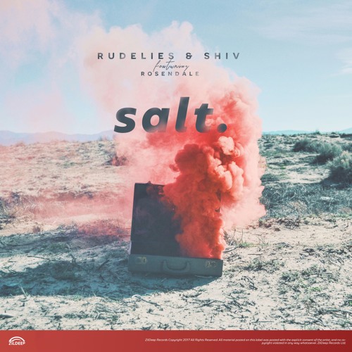RudeLies & Shivam Bhatia - Salt feat. Rosendale