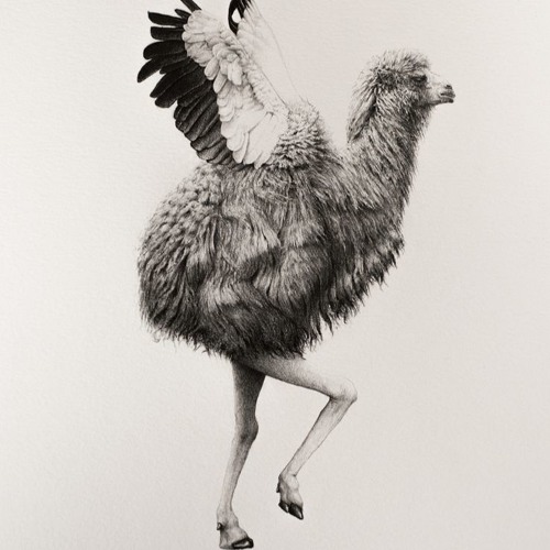 This Much I Know (extended version) Feat. Al The Native