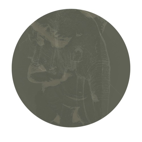 PREMIERE: Glenn Davis - Holdin On [Ele Records]