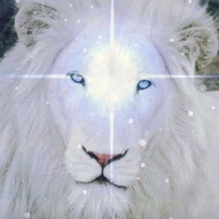 Healing activation blueprint