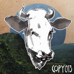 COPY013 Species K ~ Don't Fight The Snake (Breger & Timboletti Remix)