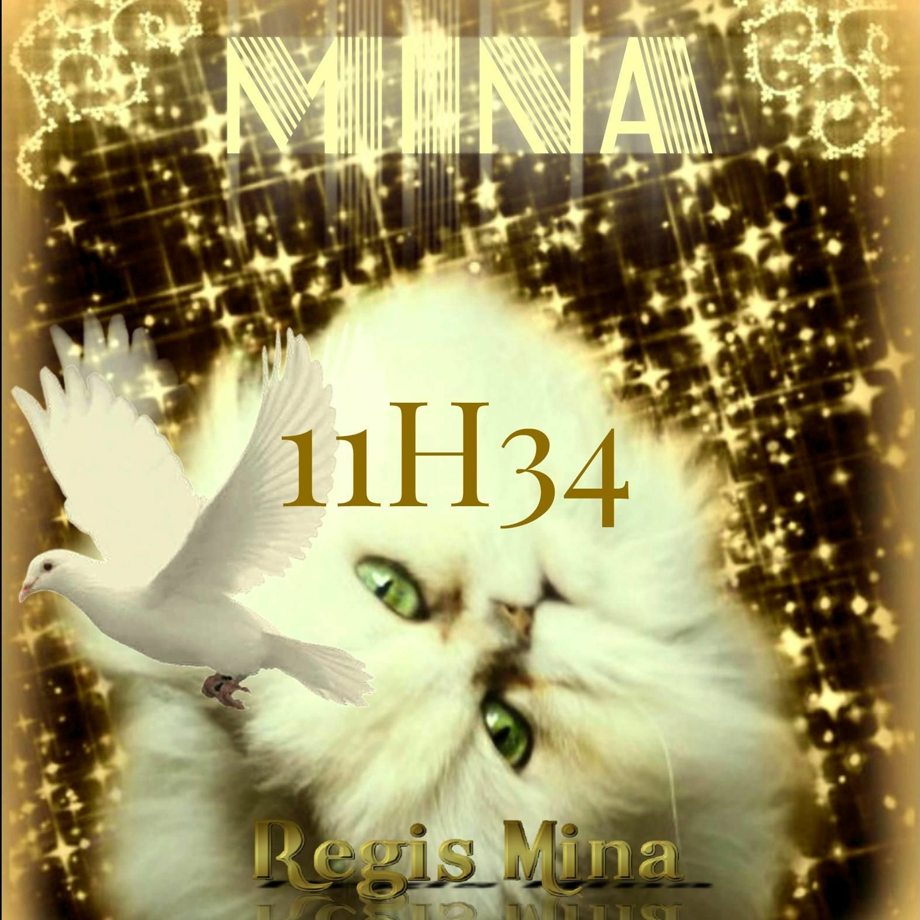 Regis Mina