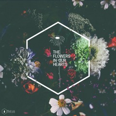 Move Slowly Feat. Sophie Kloor
