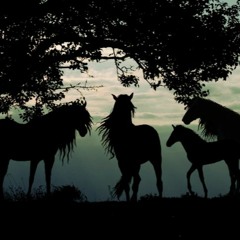 Conquest of Paradise (Piano Cover by Omar Elshamy)