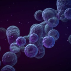 Viral Symptoms