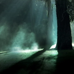 Strange little world.