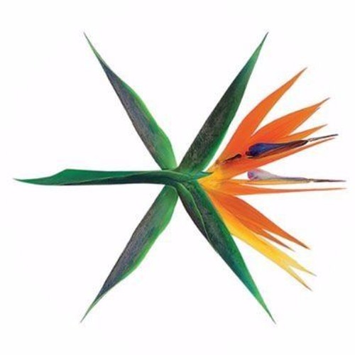 Exo 💕💕