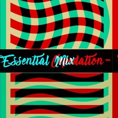 Levit8 Sessions- Essential Mix