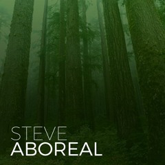 Steve - Aboreal