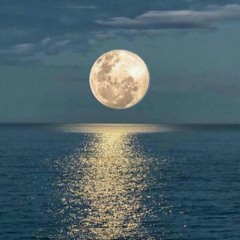 Tuna Kiremitçi&Öykü Gürman İyi Şeyler