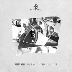 Robot Needs Oil - Meet Between The Trees (BiG AL Remix) - Sonic Soul Records