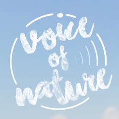 Voice of Nature 2017 artists