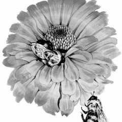 Needy Bees (Nick Hakim)