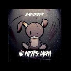 092 - Bad Bunny - Tu No Metes Cabra ''IN Regueton'' [ Junior Poicón - 2017 ]
