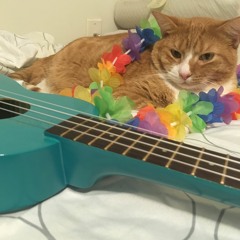 In Bloom - Neck Deep(Ukulele Cover)