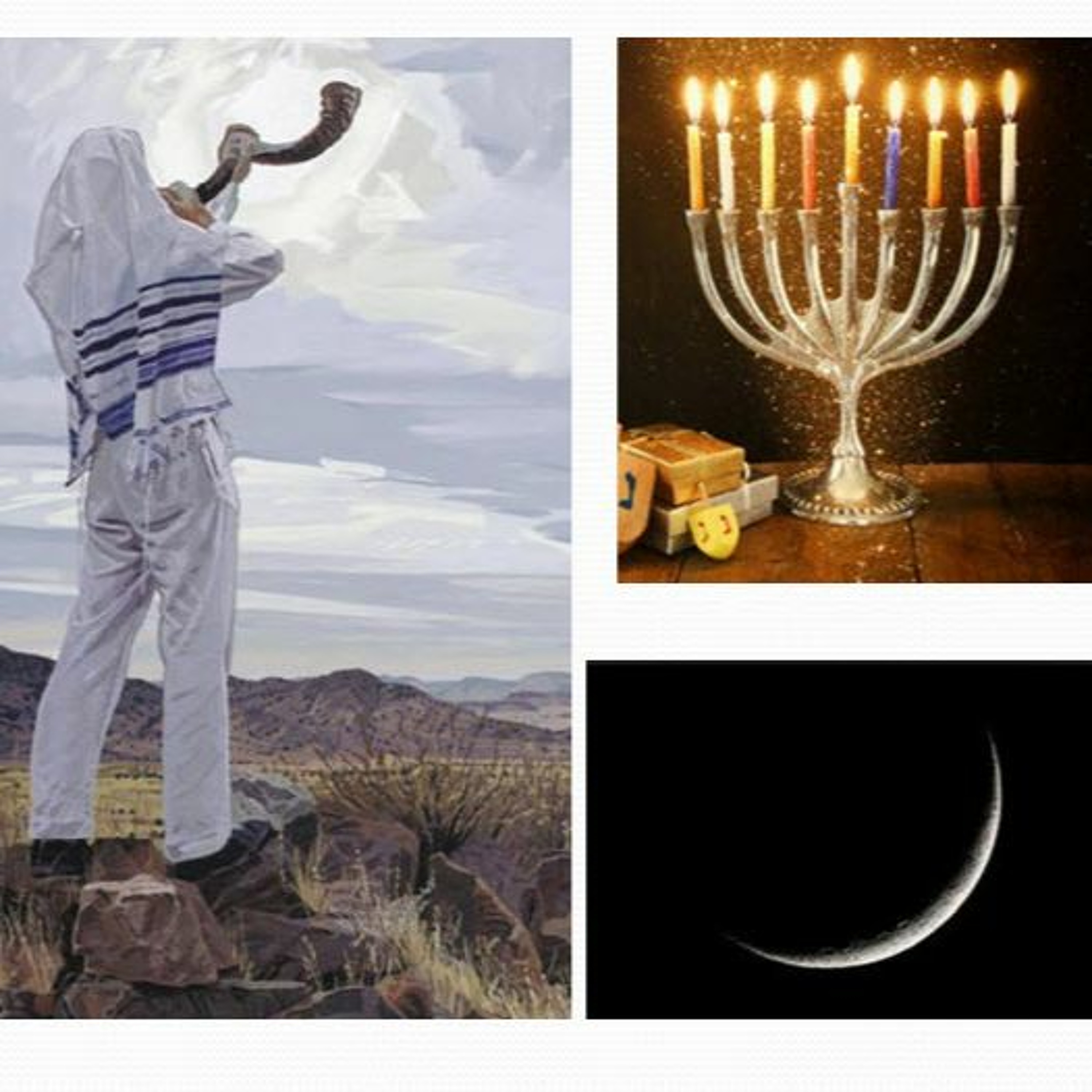 HHMI ~ Principles on the New Moon episode artwork