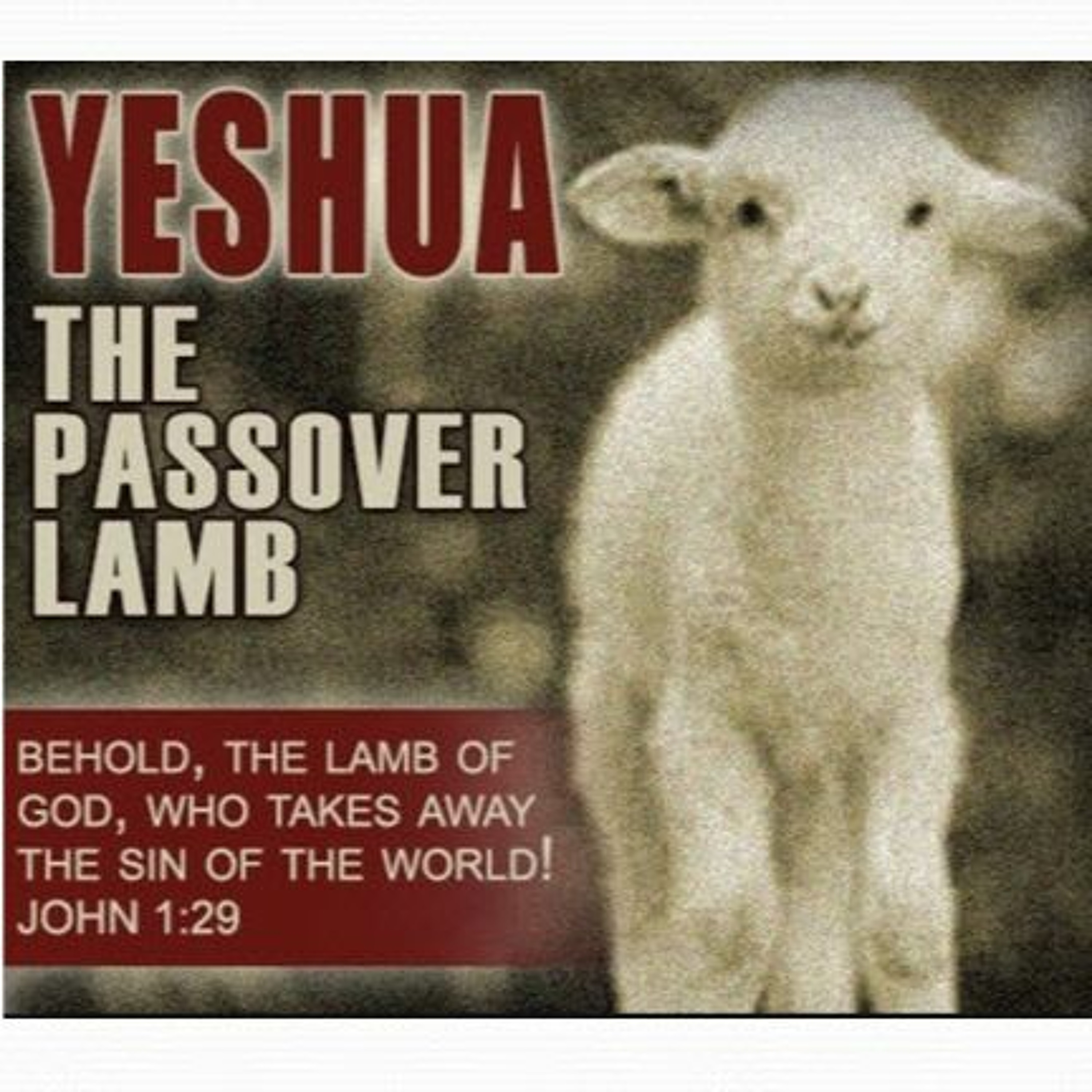 HHMI ~ Passover Pt 2 ~ Events episode artwork