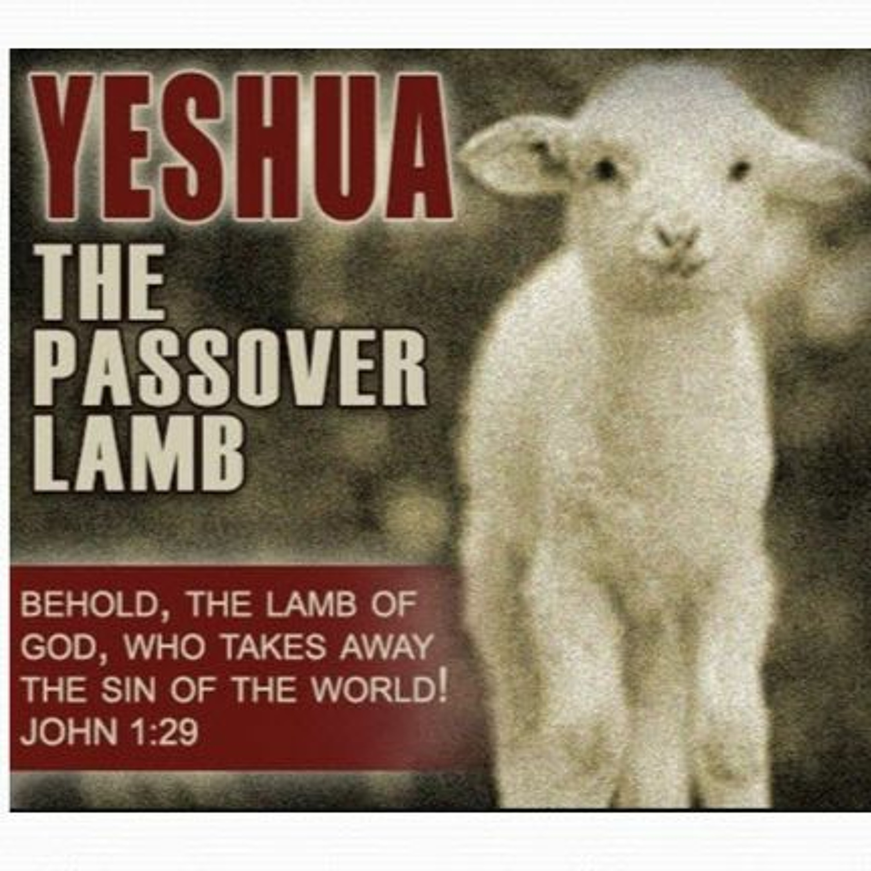 HHMI ~ Spiritual Applications of Passover ~ Pt 4 episode artwork