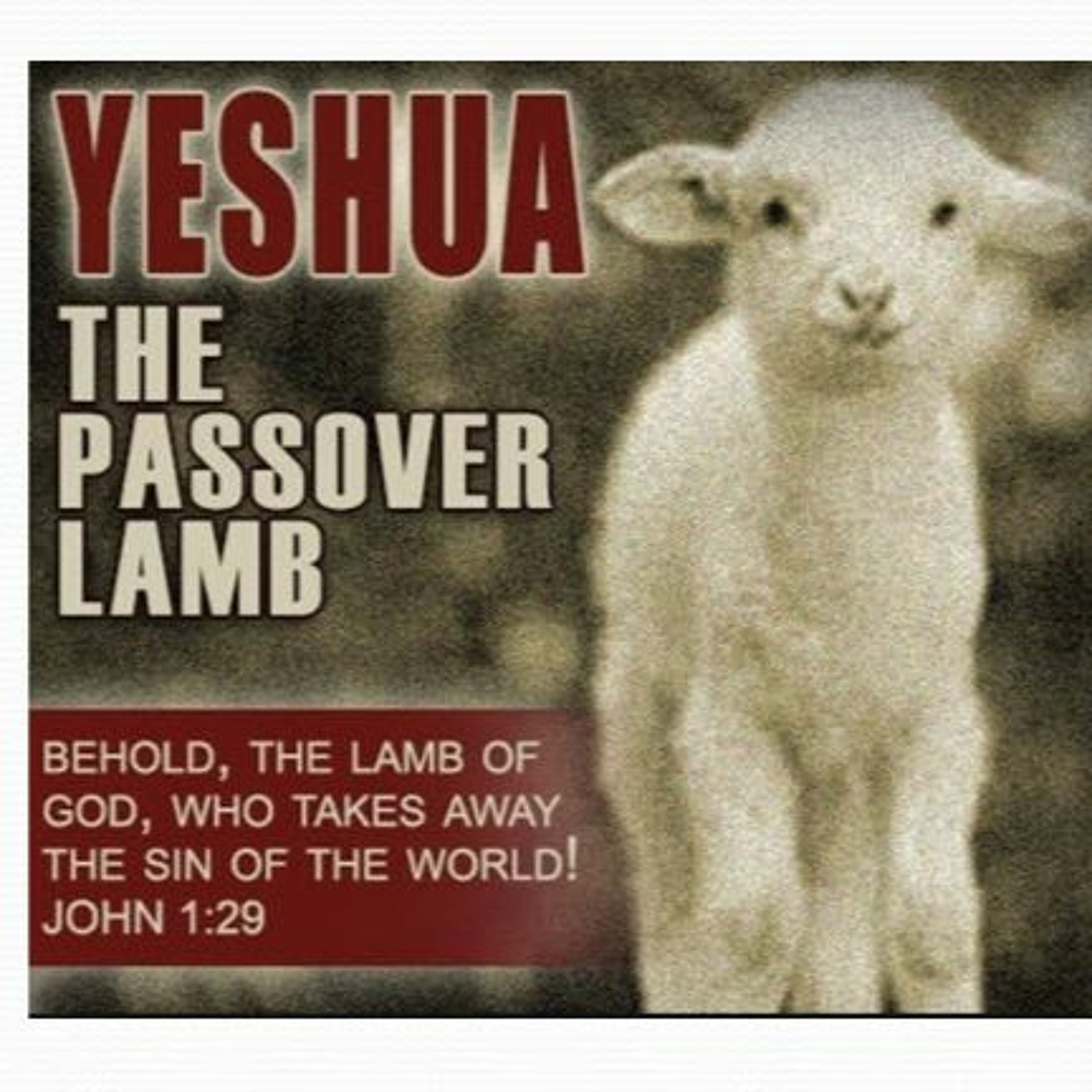 HHMI ~ Passover Themes and John 6 ~ Pt 5 episode artwork