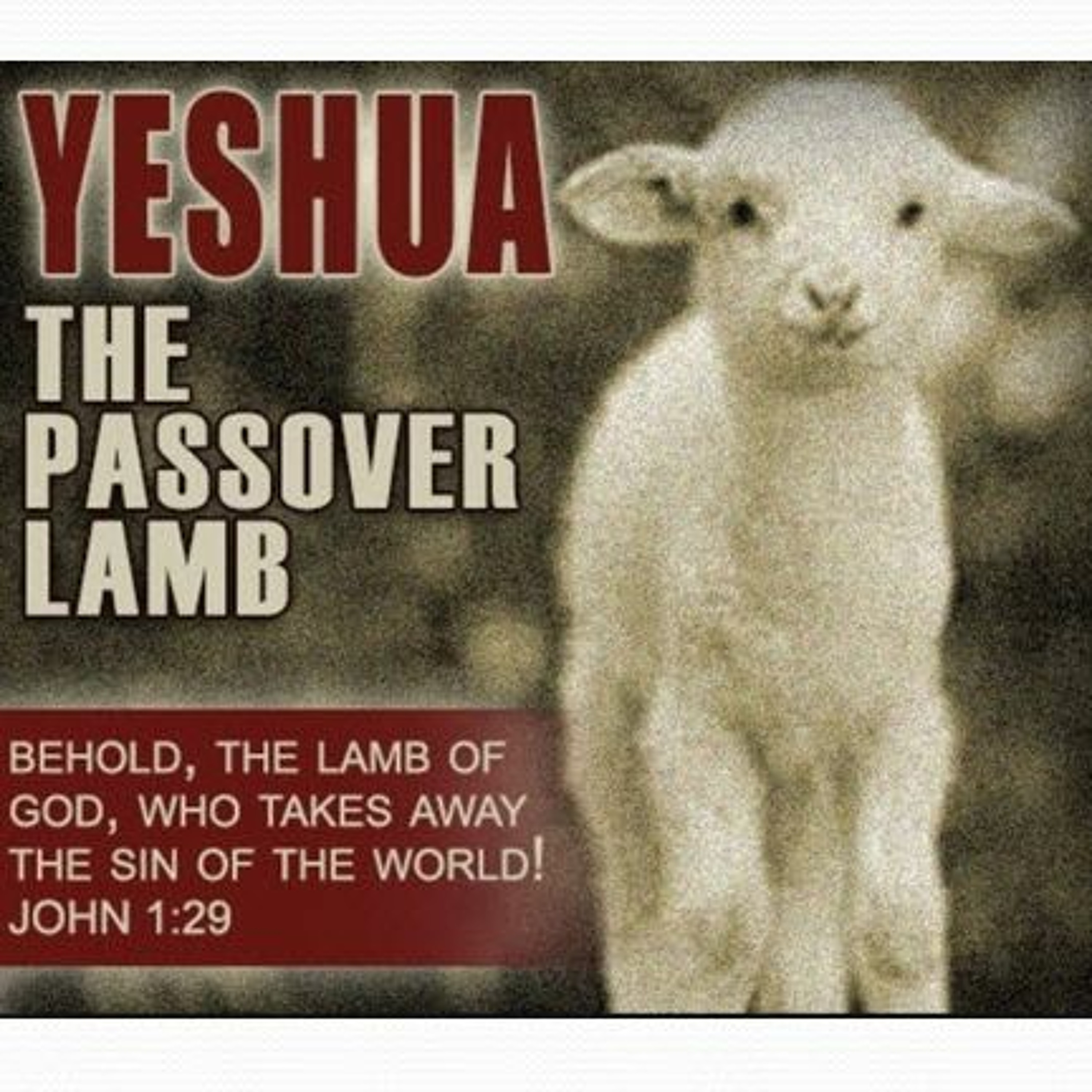HHMI ~ Understanding the Passover Seder ~ Pt 6 episode artwork
