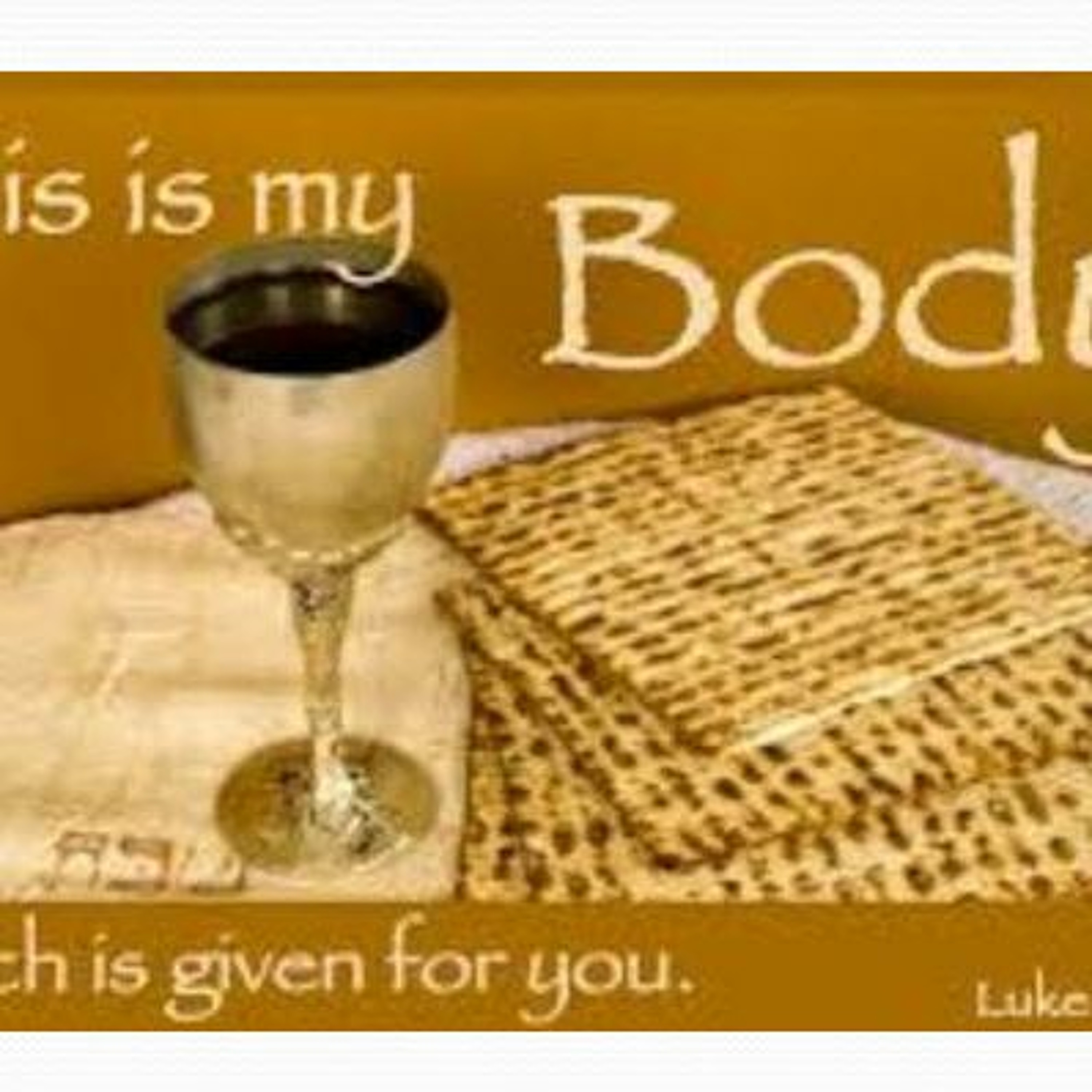 HHMI ~ Principles of Unleavened Bread episode artwork
