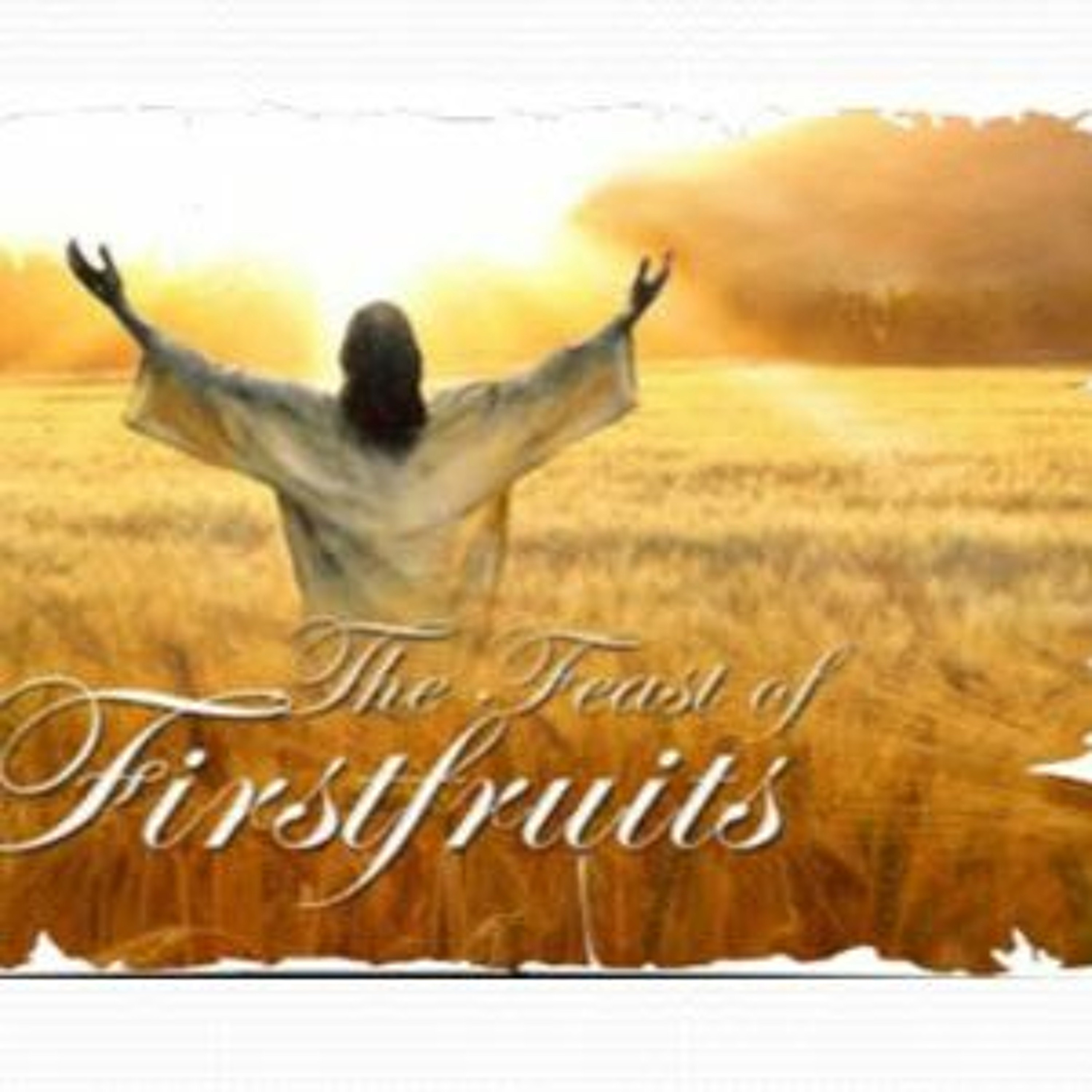 HHMI ~ Principles of Firstfruits episode artwork