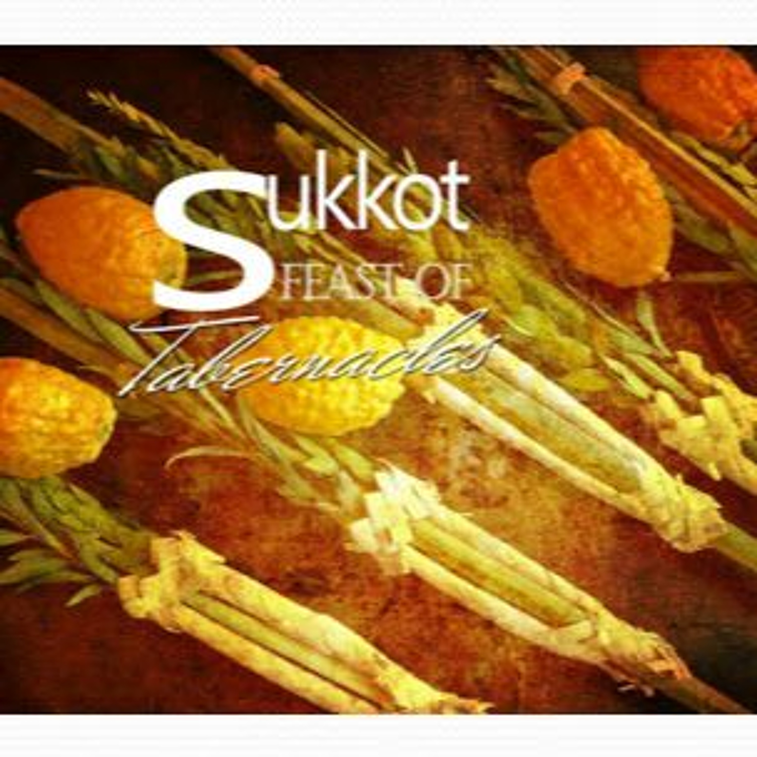 HHMI ~ Themes of Sukkot ~  Season Of Joy ~ Pt 1 episode artwork