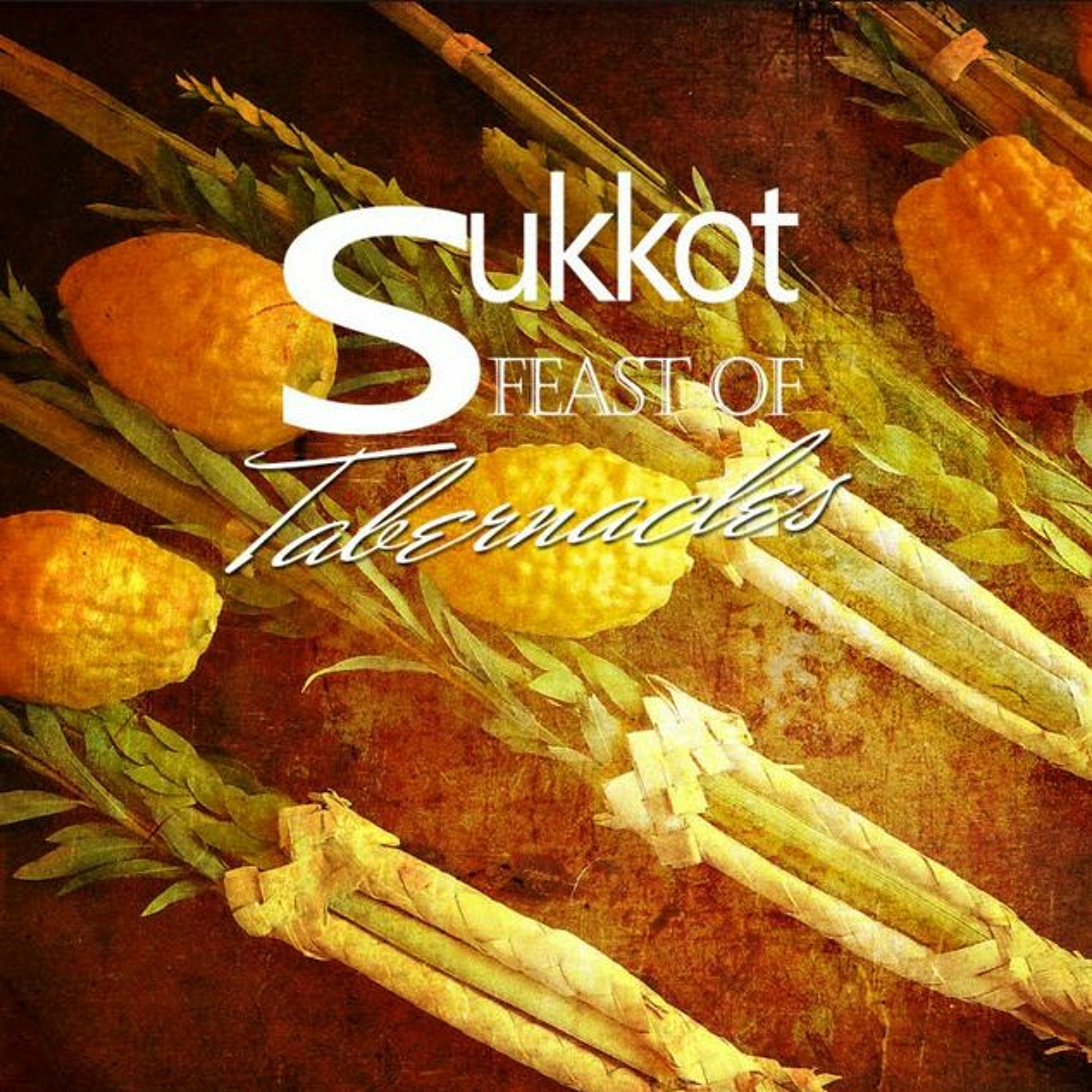 HHMI ~ Themes of Sukkot ~ Pt 2 episode artwork