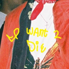 suicide heals the soul