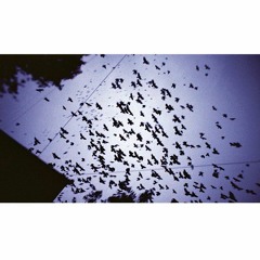 Как Жить Без Весны