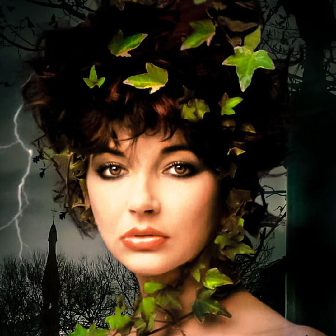 アート・デザイン・音楽 Hellen Van Meene: Portraits by Kate Bush Portraits 1