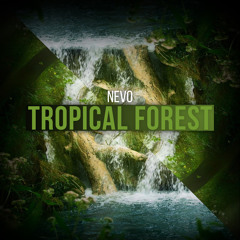 NEVO - Tropical Forest (Original Mix)