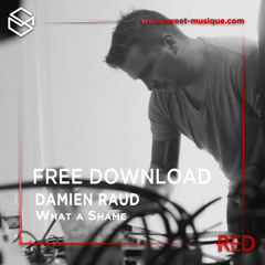 FREE DL : Damien Raud - What A Shame [Time Has Changed]