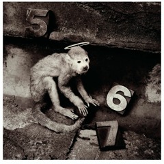 Monkey Gone To Heaven - PIXIES Cover