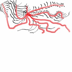 Noches De Verano (Voldo y la merendola