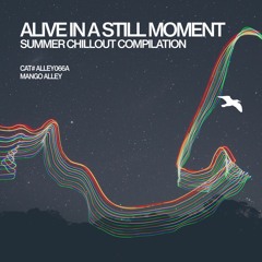 ALLEY066A ALIVE IN A STILL MOMENT