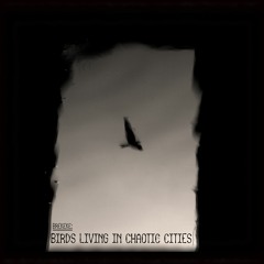 Birds Living In Chaotic Cities